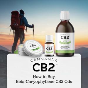 Cannanda Makes Choosing Health Easy with New CB2 Oil Guide and Recommendations