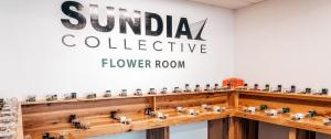redding weed dispensary