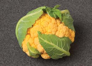 Cauliflower Flame Star