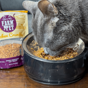 Grey cat eating Crumbles Cat Treats with dinner from a bowl.