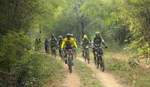 Madhai Tawa Cycling Expedition: A Journey Through Madhya Pradesh’s Wilderness