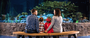 A family of four sits on a bench, admiring a large aquarium filled with coral and fish.