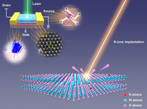 Patterned Doping for Constructing 2D Lateral p-n junction via Ion Implantation