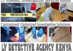 Ly Detectives PI Services