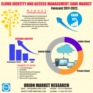 IAM Market