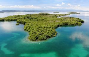 Dolphin Island, Bocas Del Toro, Panama