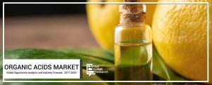Organic Acids Market 