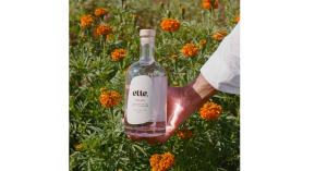 Bottle of Ette Vodka in a garden