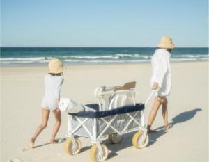 People at beach with cart.