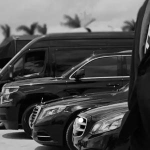a chauffeur stand in front of an array of luxury limousines