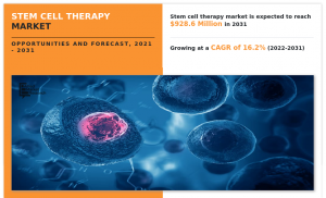 Stem Cell Therapy Market Is Estimated To Reach 8.6 Million by 2031