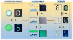 The dynamic anti-counterfeiting application based on fluorescent electrophoretic display