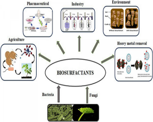 Biosurfactant Market Size Will Hit .2 Billion By 2032