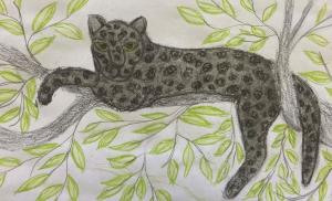 Norbu's Secret Jaguar in the Tree Illustration