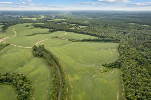 1,600 +/- acres offered in tracts & combinations from 3 acres to 1,600 acres -- 5 +/- miles of South Anna River frontage -- 2 +/- miles of frontage on Ambler Rd. & Shannon Hills Rd. -- 2 Homes -- Several large shops/storage buildings -- Grain bins & drying systems