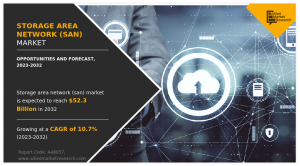 Global Storage Area Network Market Size