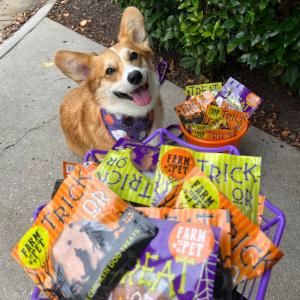 Halloween Themed Dog Treat Packaging from Farm to Pet