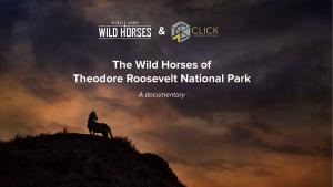 Wild Horse Documentary Begins Production, Partners with North Dakota’s Click Content Studios of Forum Communications