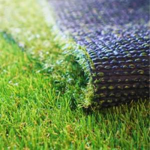 Artificial Turf by Emerson Pro Services