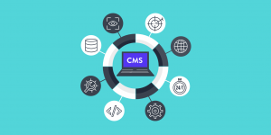 Enterprise Content Management Solution Market Value and Growth Outlook 2024-2032