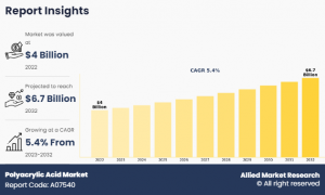 Polyacrylic Acid Market Business Scenario