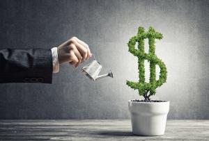Financial Consulting Firms Market