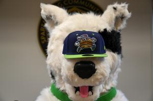 Chaser with Spartanburgers App