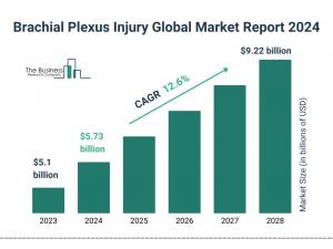 Brachial Plexus Injury Market Segments, Drivers, Restraints, And Trends For 2024-2033