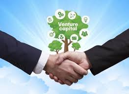 Venture Capital Investment Market 2024