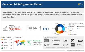 Global Value Expected to Reach .2 Billion by 2035