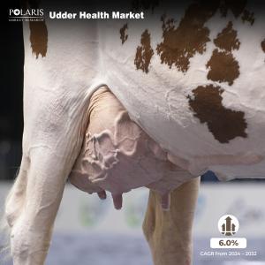 Udder Health Market