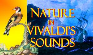 The image show a drawing of a goldfinch sitting on a branch, and a ship leaning in a turbulent ocean. Above this is the title "Nature in Vivaldi's Sounds" in writing.