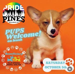 Only 45 minutes from Palm Springs, Pride Under The Pines, welcomes guests of all ages, races, and ethnicities, and their furry friends.