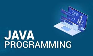 Java Programming Training Market
