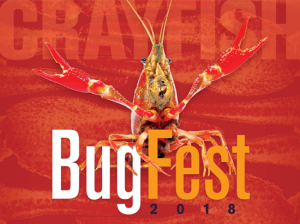 Each year over 35,000 visitors come to BugFest to experience over 100 exhibits, crafts, games and activities. The venue provides the opportunity for attendees to interact with entomologists, scientists and learn about the fascinating world of bugs. 