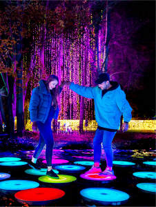 a man and woman interact with the multimedia elements at Garden of Lights