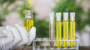 Bio Green Equipment Market