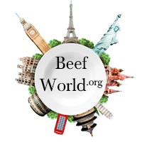 beef logo