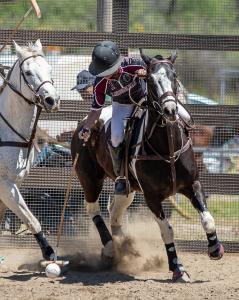 female polo player goes after ball on horseback