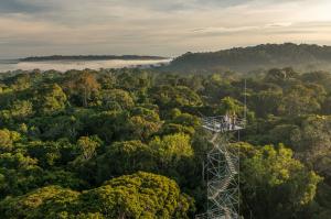 Breathtaking Views from Cristalino Lodge’s Observation Towers