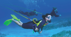 A group of three divers exploring underwater while using Brownie’s tankless dive system. The lightweight, battery-powered system provides air from the surface, allowing divers extended underwater time without the need for traditional scuba tanks.