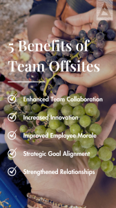 key benefits of company retreats and team offsites, holding grapes, facts