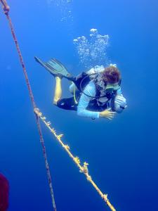 coral restoration