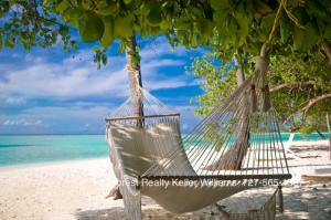 Frenchman's Caye Beach