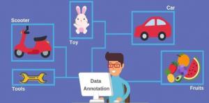 Data Annotation Software Market