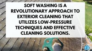 The Revolutionary Approach to Outdoor Cleaning - Softwashing Services