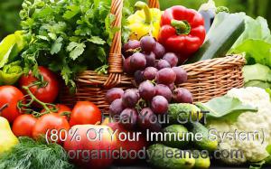 Heal Your Gut 80% of your immune system