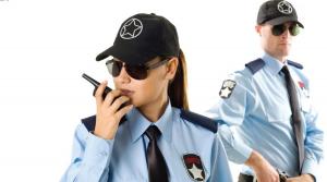 Private Security Service Market