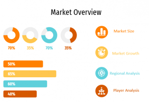 Financial Management Solution market