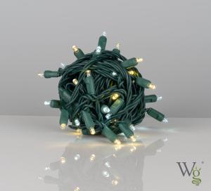 Wintergreen Lighting 50 Count 5MM Champagne String Lights